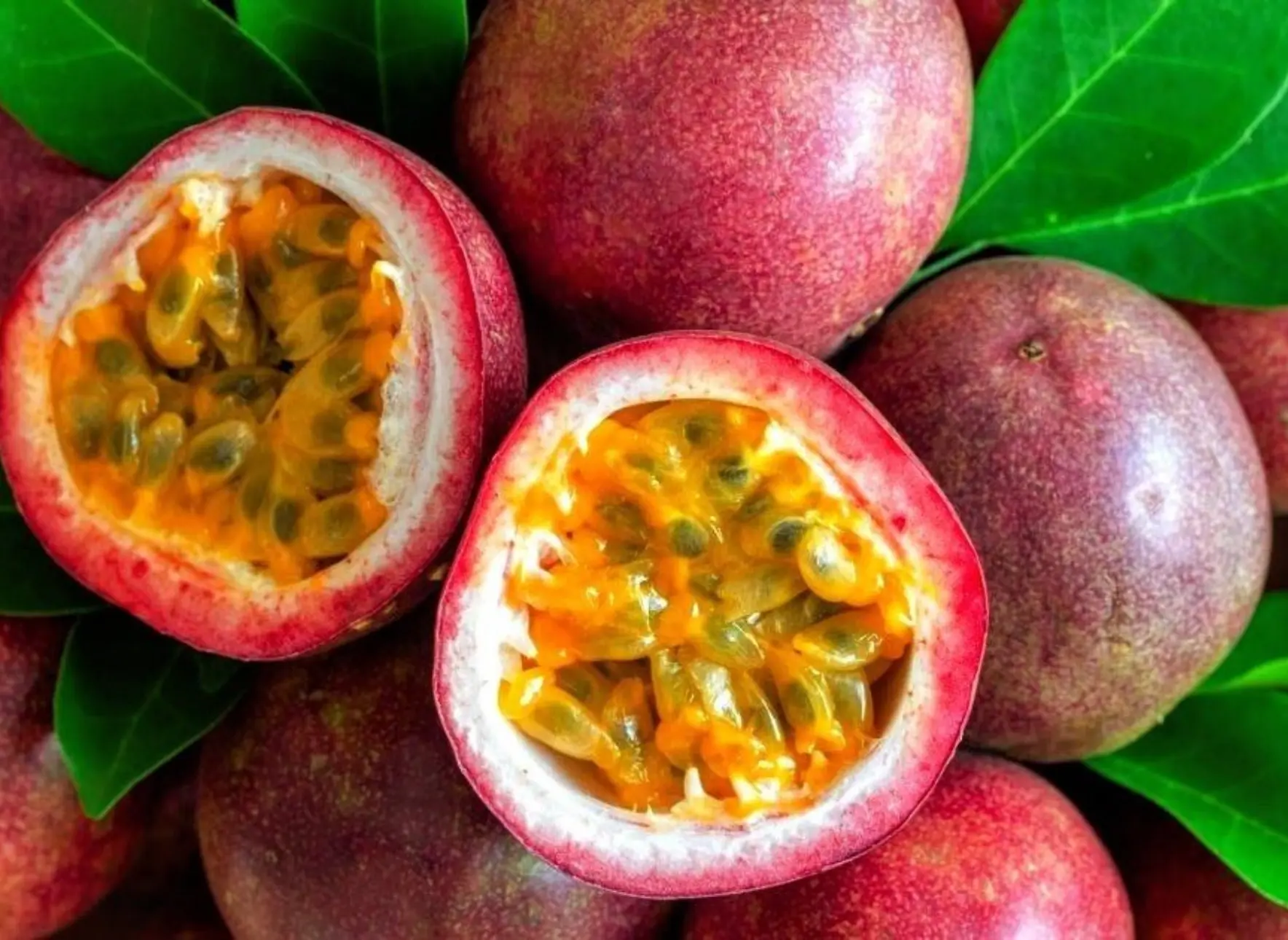 パッションフルーツ